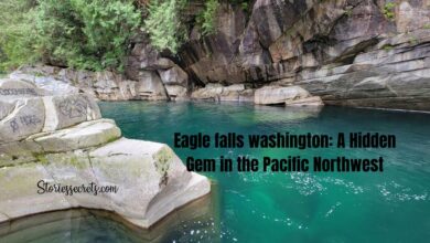 eagle falls washington